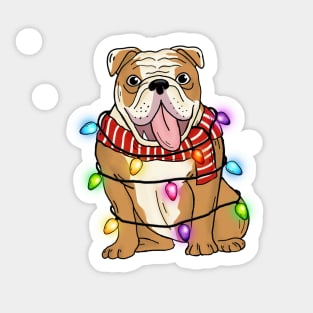 Bulldog Christmas Lights Sticker